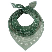 Chustka Jedwabna Paisley by Fraas - 195,95 zł