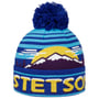 Czapka Beanie Snowy Mountains Freestyle by Stetson niebiesko-żółty